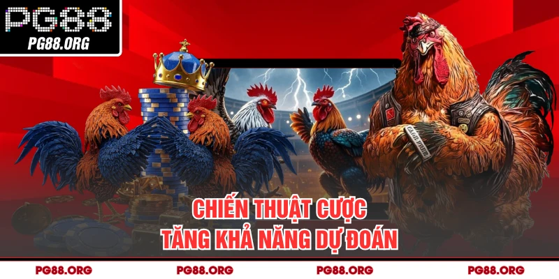 Chiến thuật cược tăng khả năng dự đoán