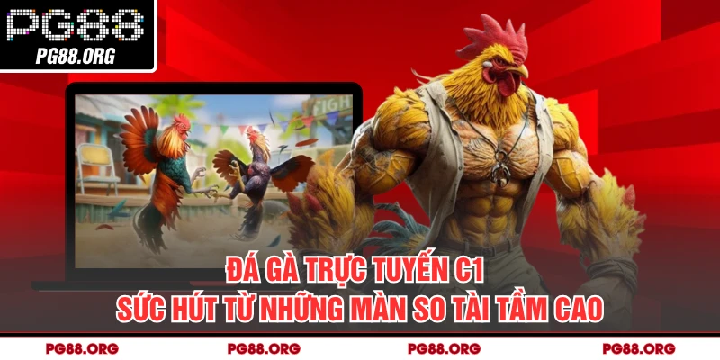 Đá Gà Trực Tuyến C1 - Sức Hút Từ Những Màn So Tài Tầm Cao