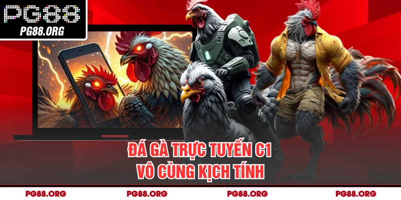 Đá gà trực tuyến C1 vô cùng kịch tính