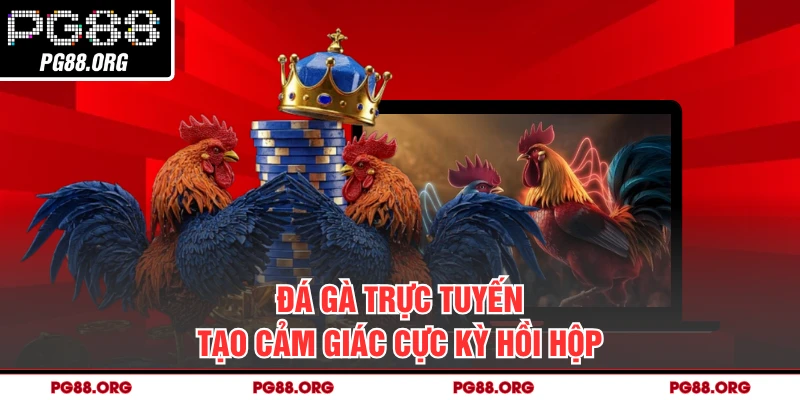 Đá gà trực tuyến tạo cảm giác cực kỳ hồi hộp 
