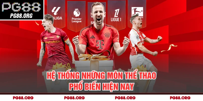 Hệ thống những môn thể thao phổ biến hiện nay