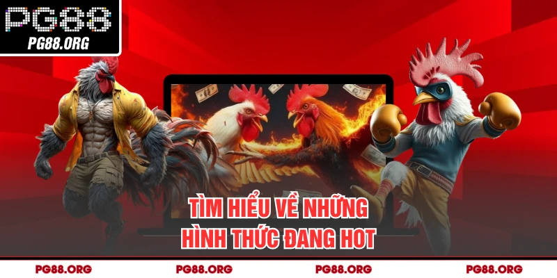 Tìm hiểu về những hình thức đang hot